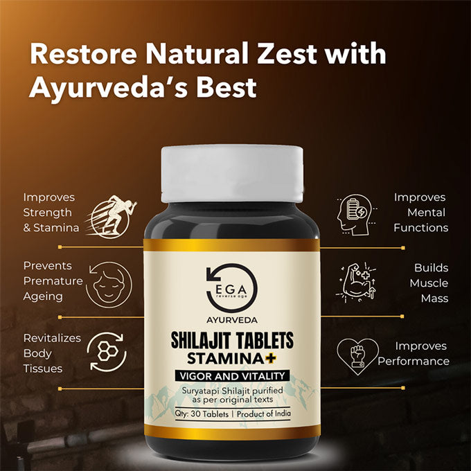 6 benefits of EGA shilajit to restore natural zest