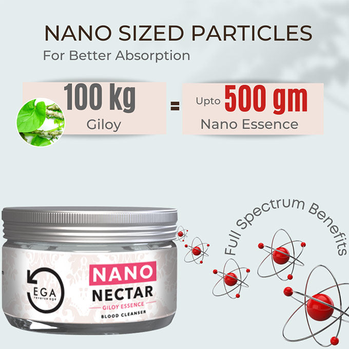 nano giloy particles for better absorption