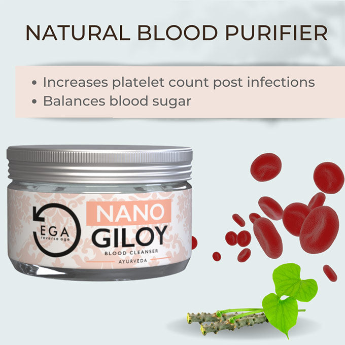 nano giloy is a blood purifier and increase platelet count