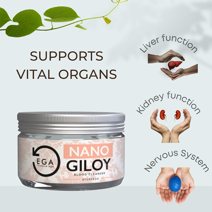 nano giloy supports vital organs