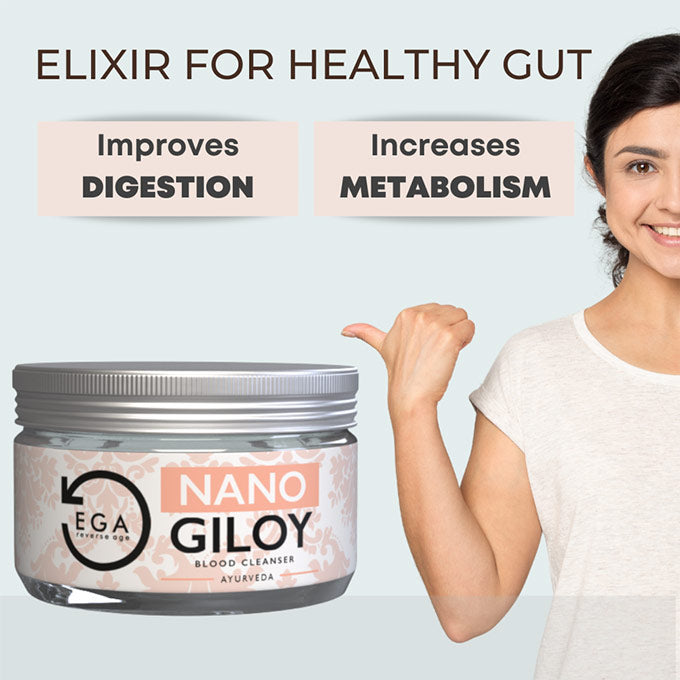 nano giloy increases metabolism